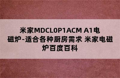 米家MDCL0P1ACM A1电磁炉-适合各种厨房需求 米家电磁炉百度百科